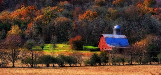 Autumn Agricultural Landscape in Rural Tennessee